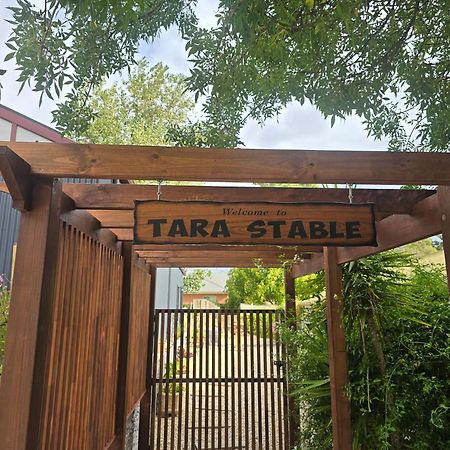 Tara Stables Villa Littlehampton Luaran gambar